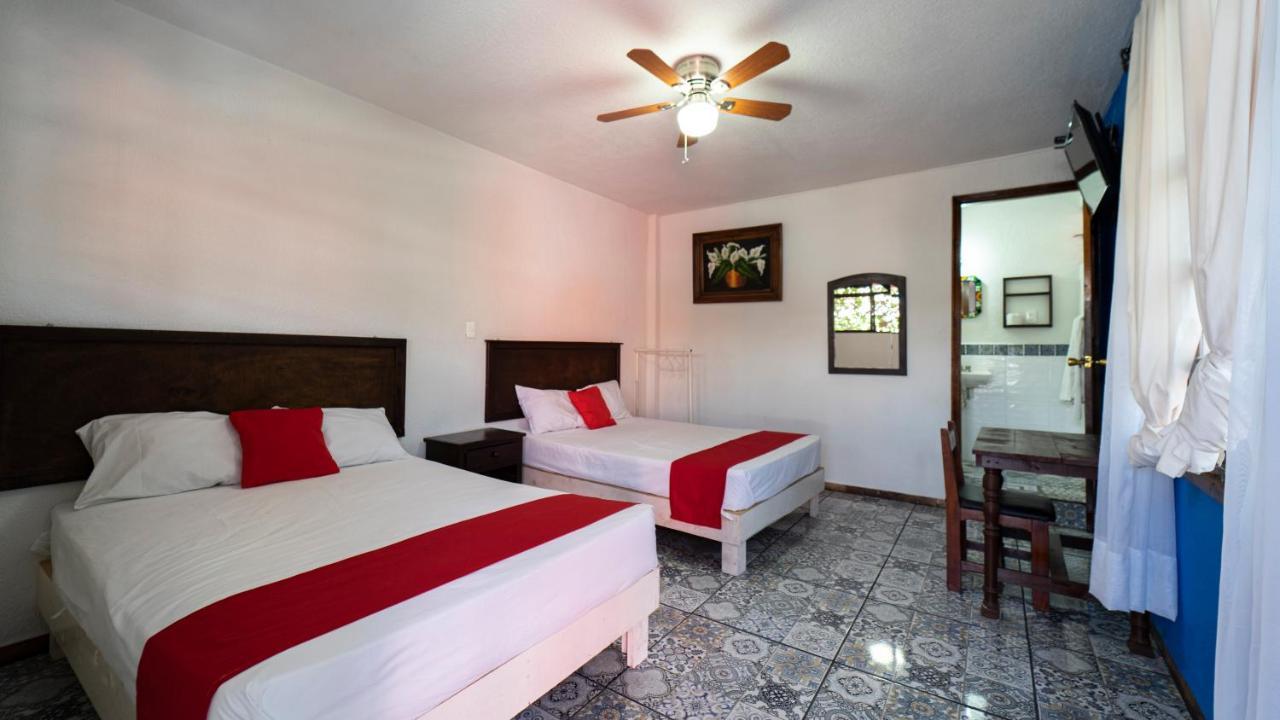 Hotel Posada Bugambilias San Luis Potosí Eksteriør bilde