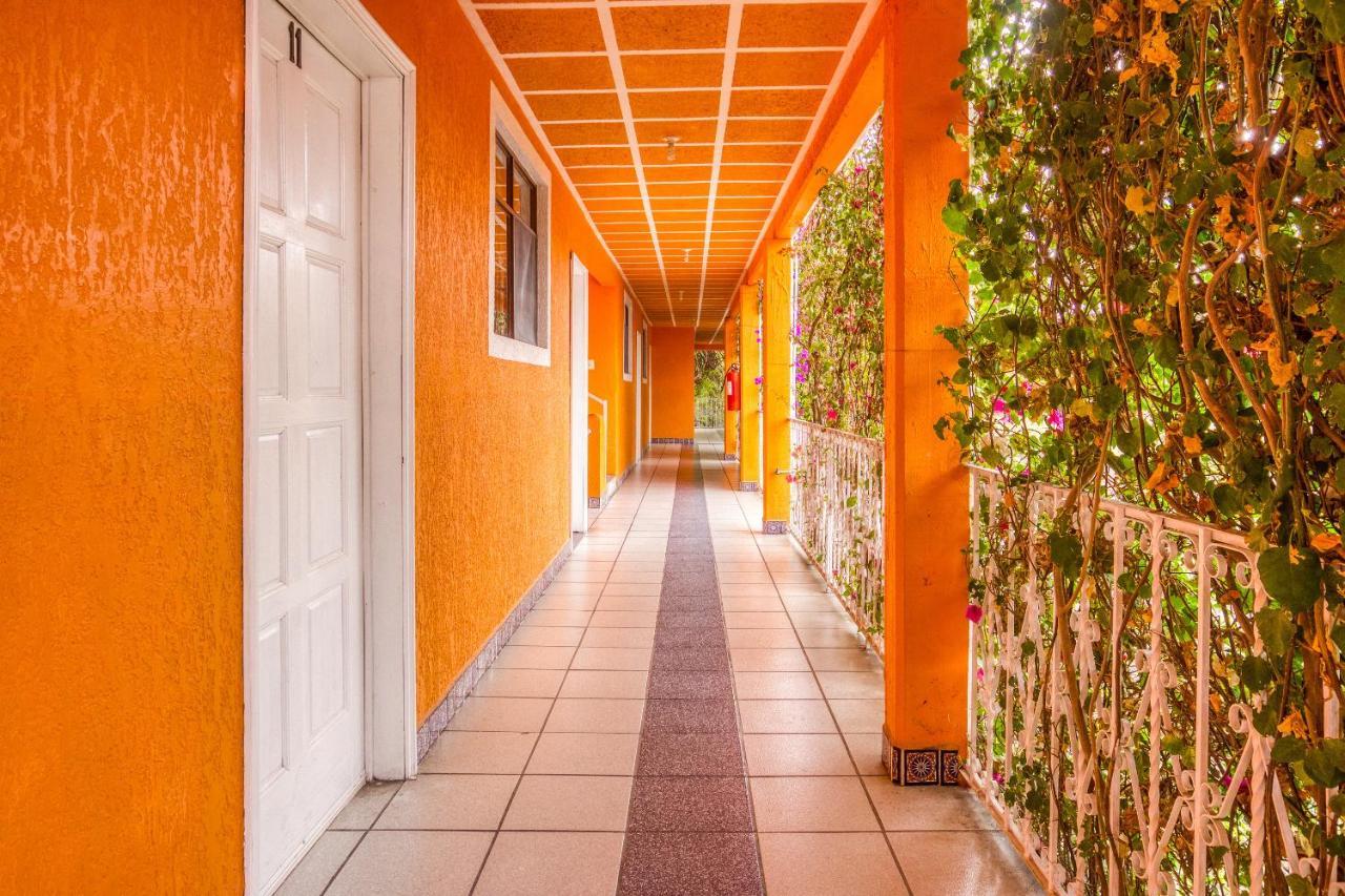 Hotel Posada Bugambilias San Luis Potosí Eksteriør bilde